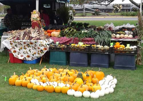 Newport Vt, Farmers Market